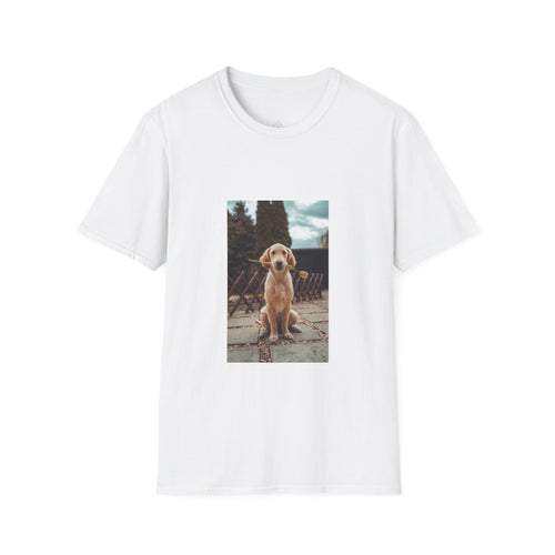 Dog Hair Don't Care™ — TheBarkClub Essential Tee